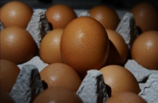 Los huevos podridos pueden salvar vidas