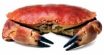 Los mariscos y el sexo