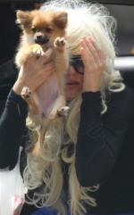 Los médicos recomiendan que Amanda Bynes sea hospitalizada para tratar su enfermedad mental