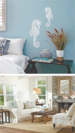 Los recursos naturales marinos en la decoración