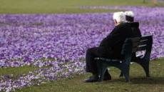 Ni la muerte pudo con su amor: pareja de ancianos ‘se reúne’ con 14 horas de diferencia