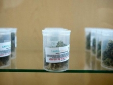 Nueva Jersey legaliza uso médico de marihuana para niños