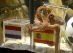 Olvida al Pulpo Paul, ¡Cortana va invicta en predicciones mundialistas!.