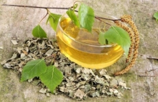 Plantas recomendadas para perder peso