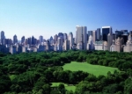 Presidente de Google dona 15 millones dólares para nuevo parque en Nueva York