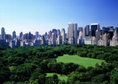 Presidente de Google dona 15 millones dólares para nuevo parque en Nueva York