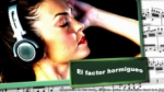 ¿Qué es ese escalofrío que se siente al escuchar música?