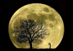 ¿Qué es mejor que una 'superluna'? ¡Tres 'superlunas'! No te las pierdas.