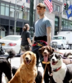 ¿Qué hace Daniel Radcliffe paseando muchísimos perros por la calle?
