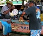 RD y Centroamérica prohíben pesca de langosta .