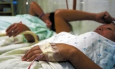 Reportan al día unos 30 casos sospechosos de chikungunya el hospital de San Cristóbal