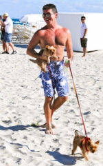 Simon Cowell asegura que quiere tener más hijos