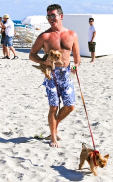 Simon Cowell asegura que quiere tener más hijos
