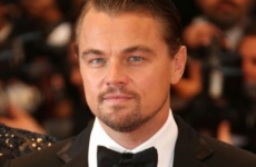 Stone quiere a DiCaprio como 'Christian Grey'