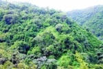 Treinta de 32 senadores firman proyecto para declarar Loma Miranda parque nacional