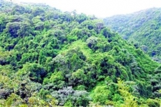 Treinta de 32 senadores firman proyecto para declarar Loma Miranda parque nacional