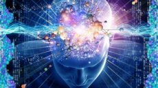 Tu cerebro siempre está despierto.
