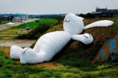 Un conejo gigante aparece en Taiwán