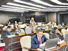 ¿Un empuje o una nueva dilación a la ley de partidos?