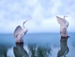 Un lago en África convierte en “estatuas” a los animales
