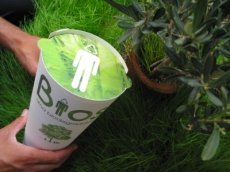 Una empresa hace una bonita propuesta: transformarte en un árbol cuando mueras