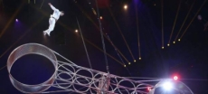 Una malabarista de un circo de Madrid, herida grave al caerse mientras ensayaba un número