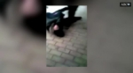 Una menor propina una paliza a otra y sube el vídeo a internet